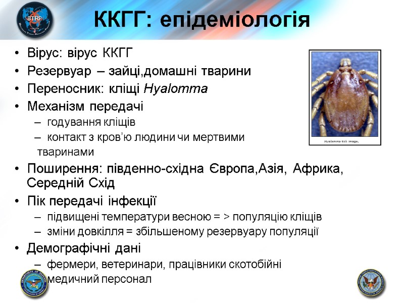 ККГГ: епідеміологія Вірус: вірус ККГГ Резервуар – зайці,домашні тварини Переносник: кліщі Hyalomma  